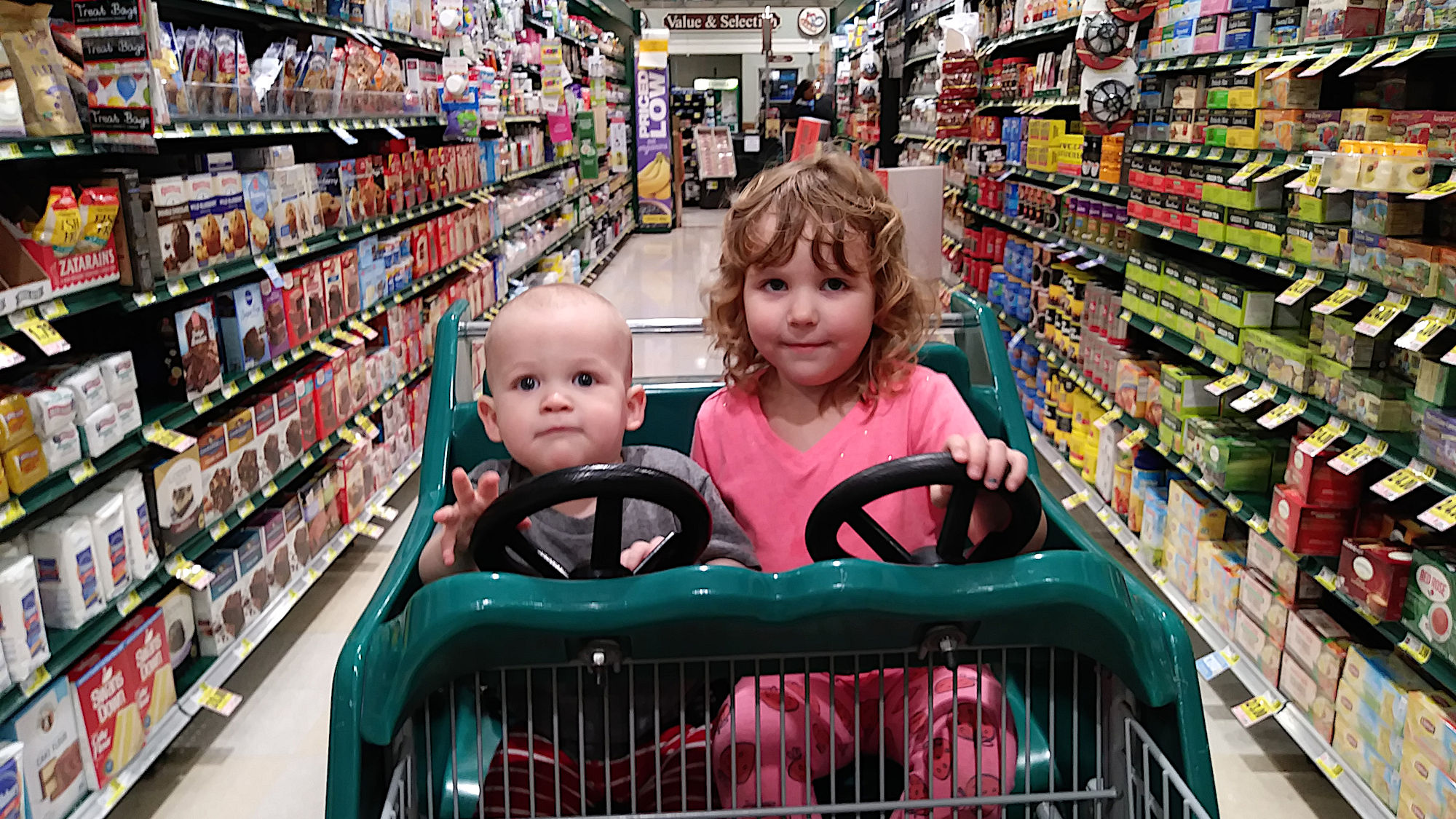 Photo of Otis and Emmylou in a shopping cart at a grocery store
