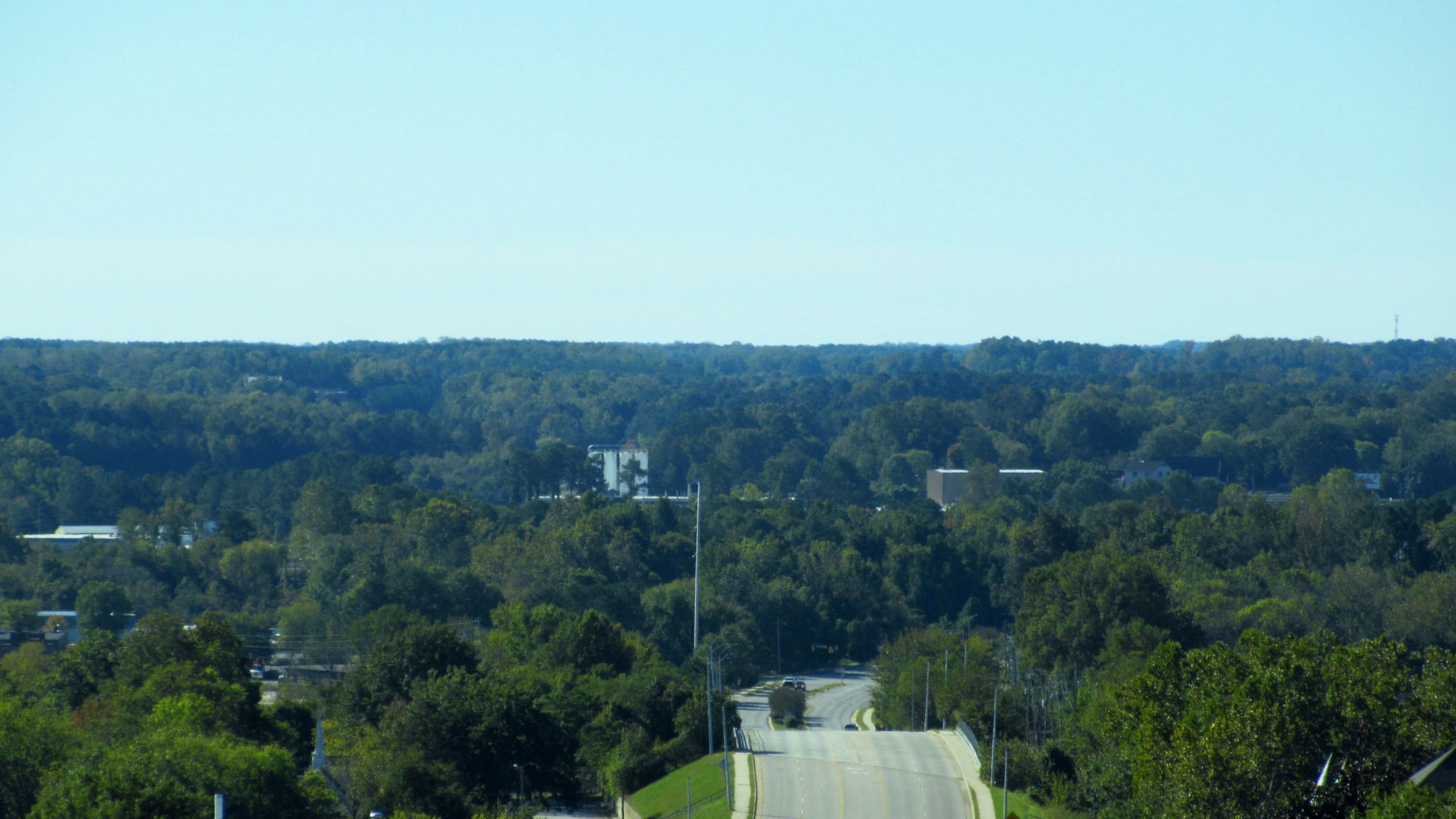 View of trees