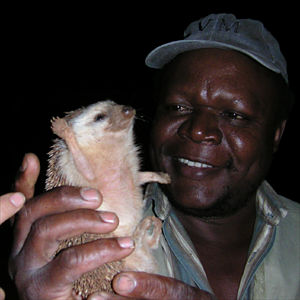 Wilfred with a hedgehog.