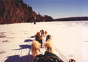 Sledding