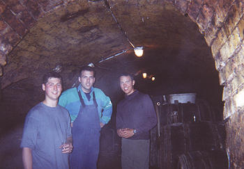 wine cellar photo